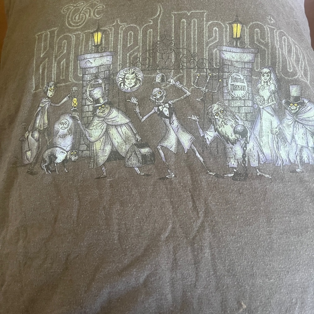 Teenager Clean out! Haunted Mansion Collection